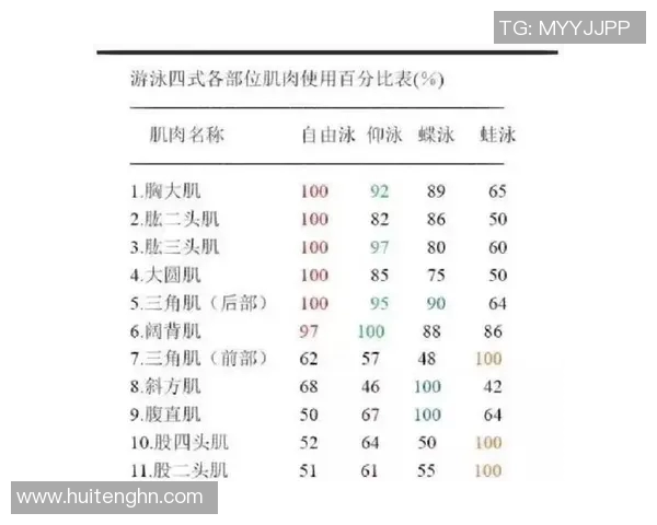 探索四大泳姿技巧与特点全面解析,提升游泳水平的关键指南 探索四大泳姿技巧与特点全面解析,提升游泳水平的关键指南