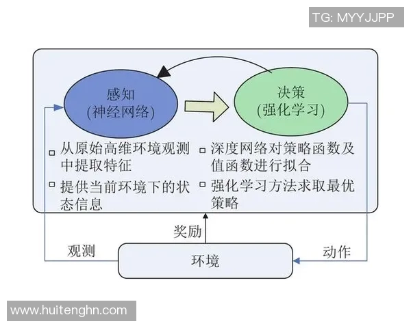 运动科学视角下的身体适应机制与运动表现提升策略研究